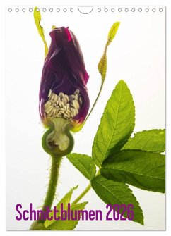 Schnittblumen 2026 (Wandkalender 2026 DIN A4 hoch), CALVENDO Monatskalender