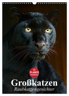 Cover Großkatzen. Raubkatzengesichter (Wandkalender 2026 DIN A3 hoch), CALVENDO Monatskalender