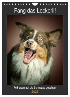 Fang das Leckerli (Wandkalender 2026 DIN A4 hoch), CALVENDO Monatskalender Fang das Leckerli (Wandkalender 2026 DIN A4 hoch), CALVENDO Monatskalender