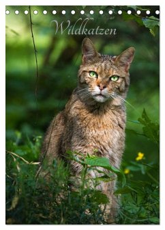 Cover Wildkatzen - scheue Jäger (Tischkalender 2026 DIN A5 hoch), CALVENDO Monatskalender