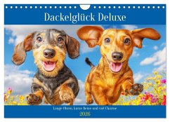 Dackelglück Deluxe. Lange Ohren, kurze Beine und viel Charme (Wandkalender 2026 DIN A4 quer), CALVENDO Monatskalender Dackelglück Deluxe. Lange Ohren, kurze Beine und viel Charme (Wandkalender 2026 DIN A4 quer), CALVENDO Monatskalender