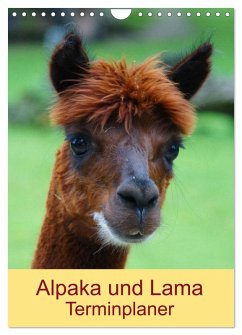 Alpaka und Lama Terminplaner (Wandkalender 2026 DIN A4 hoch), CALVENDO Monatskalender