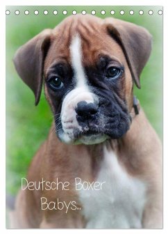 Deutsche Boxer Babys... (Tischkalender 2026 DIN A5 hoch), CALVENDO Monatskalender