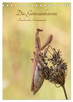 Cover Die Gottesanbeterin. Räuber der Insektenwelt. (Tischkalender 2026 DIN A5 hoch), CALVENDO Monatskalender