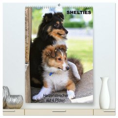 Cover SHELTIES Herzensbrecher auf 4 Pfoten (hochwertiger Premium Wandkalender 2026 DIN A2 hoch), Kunstdruck in Hochglanz