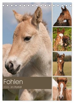 Cover Fohlen im Porträt (Tischkalender 2026 DIN A5 hoch), CALVENDO Monatskalender