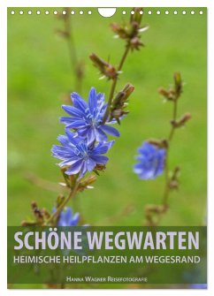 Schöne Wegwarten. Heimische Heilpflanzen am Wegesrand (Wandkalender 2026 DIN A4 hoch), CALVENDO Monatskalender Schöne Wegwarten. Heimische Heilpflanzen am Wegesrand (Wandkalender 2026 DIN A4 hoch), CALVENDO Monatskalender