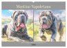 Mastino Napoletano. Die wuchtigen... - Bild 1