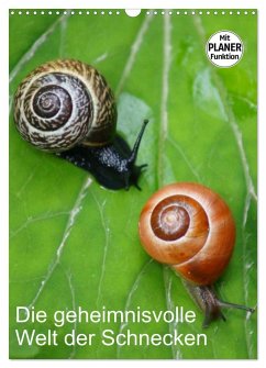 Cover Die geheimnisvolle Welt der Schnecken (Wandkalender 2026 DIN A3 hoch), CALVENDO Monatskalender