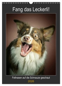Fang das Leckerli (Wandkalender 2026 DIN A3 hoch), CALVENDO Monatskalender Fang das Leckerli (Wandkalender 2026 DIN A3 hoch), CALVENDO Monatskalender