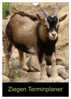 Ziegen Terminplaner (Wandkalender 2026 DIN A4 hoch), CALVENDO Monatskalender