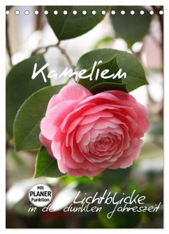 Kamelien Lichtblicke in der dunklen Jahreszeit (Tischkalender 2026 DIN A5 hoch), CALVENDO Monatskalender Kamelien Lichtblicke in der dunklen Jahreszeit (Tischkalender 2026 DIN A5 hoch), CALVENDO Monatskalender