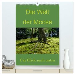 Cover Die Welt der Moose. Ein Blick nach unten (hochwertiger Premium Wandkalender 2026 DIN A2 hoch), Kunstdruck in Hochglanz