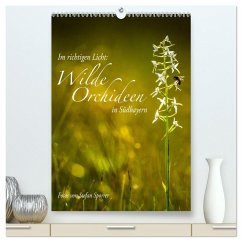 Cover Im richtigen Licht: Wilde Orchideen in Südbayern (hochwertiger Premium Wandkalender 2026 DIN A2 hoch), Kunstdruck in Hochglanz