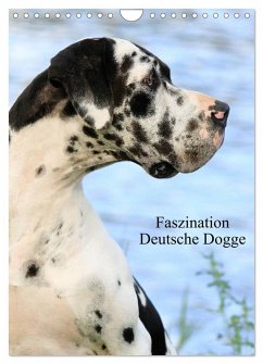 Cover Faszination Deutsche Dogge (Wandkalender 2026 DIN A4 hoch), CALVENDO Monatskalender