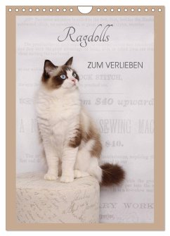 Cover Ragdolls zum Verlieben (Wandkalender 2026 DIN A4 hoch), CALVENDO Monatskalender
