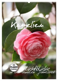 Kamelien Lichtblicke in der dunklen Jahreszeit (Wandkalender 2026 DIN A2 hoch), CALVENDO Monatskalender Kamelien Lichtblicke in der dunklen Jahreszeit (Wandkalender 2026 DIN A2 hoch), CALVENDO Monatskalender