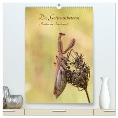 Cover Die Gottesanbeterin. Räuber der Insektenwelt. (hochwertiger Premium Wandkalender 2026 DIN A2 hoch), Kunstdruck in Hochglanz
