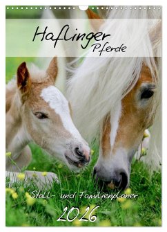 Haflinger Pferde - Stall- und Familienplaner 2026 (Wandkalender 2026 DIN A3 hoch), CALVENDO Monatskalender