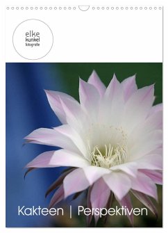 Cover Kakteen Perspektiven (Wandkalender 2026 DIN A3 hoch), CALVENDO Monatskalender