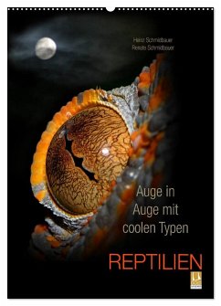 Cover Auge in Auge mit coolen Typen - REPTILIEN (Wandkalender 2026 DIN A2 hoch), CALVENDO Monatskalender