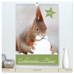 Cover Eichhörnchen - Planer (hochwertiger Premium Wandkalender 2026 DIN A2 hoch), Kunstdruck in Hochglanz