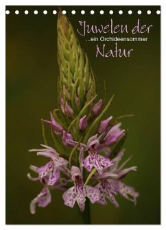 Cover Juwelen der Natur - Ein Orchideensommer (Tischkalender 2026 DIN A5 hoch), CALVENDO Monatskalender
