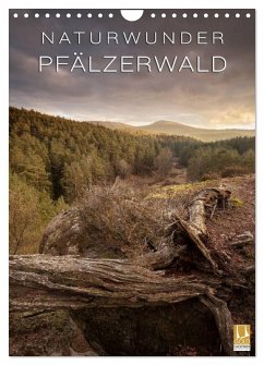 Cover NATURWUNDER PFÄLZERWALD (Wandkalender 2026 DIN A4 hoch), CALVENDO Monatskalender
