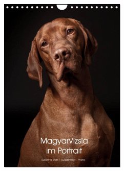 Cover Magyar Vizsla im Portrait (Wandkalender 2026 DIN A4 hoch), CALVENDO Monatskalender