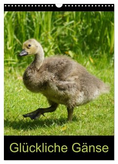 Glückliche Gänse (Wandkalender 2026 DIN A3 hoch), CALVENDO Monatskalender