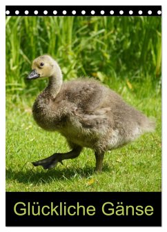 Glückliche Gänse (Tischkalender 2026 DIN A5 hoch), CALVENDO Monatskalender