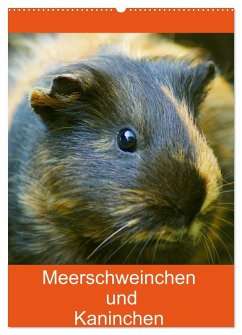 Meerschweinchen und Kaninchen Familienplaner (Wandkalender 2026 DIN A2 hoch), CALVENDO Monatskalender