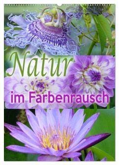 Cover Natur im Farbenrausch (Wandkalender 2026 DIN A2 hoch), CALVENDO Monatskalender