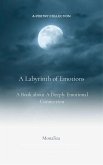 A Labyrinth of Emotions (eBook, ePUB) A Labyrinth of Emotions (eBook, ePUB)