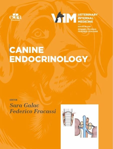 Canine endocrinology (eBook, ePUB)
