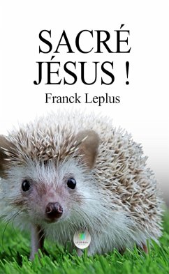 Cover Sacré Jésus ! (eBook, ePUB)