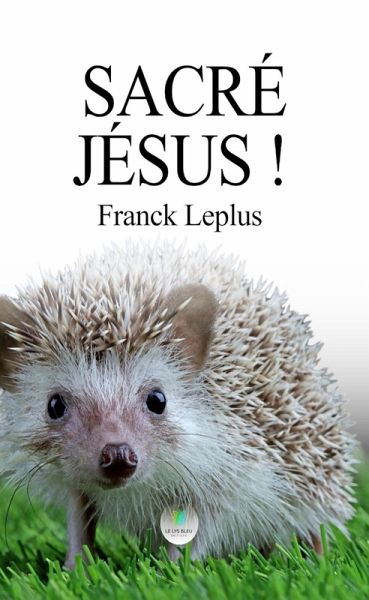Sacré Jésus ! (eBook, ePUB) Sacré Jésus ! (eBook, ePUB)