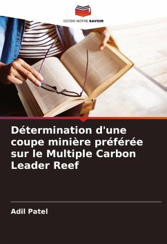 Détermination d'une coupe minière préférée sur le Multiple Carbon Leader Reef - Patel, Adil