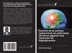 Función de la corteza suprarrenal en embriones de Danio gigante tras inducción de hiperglucemia Función de la corteza suprarrenal en embriones de Danio gigante tras inducción de hiperglucemia