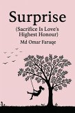 Surprise (eBook, ePUB)