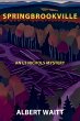 Springbrookville - Bild 1