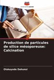 Production de particules de silice mésoporeuse: Calcination