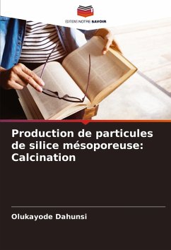 Cover Production de particules de silice mésoporeuse: Calcination