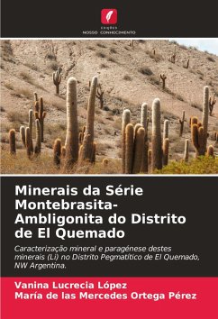 Minerais da Série Montebrasita-Ambligonita do Distrito de El Quemado - López, Vanina Lucrecia;Ortega Pérez, María de las Mercedes