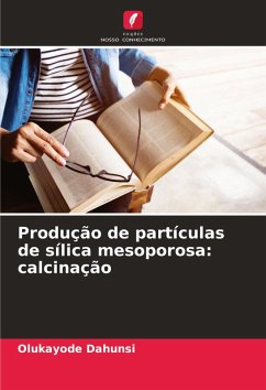 Cover Produção de partículas de sílica mesoporosa: calcinação