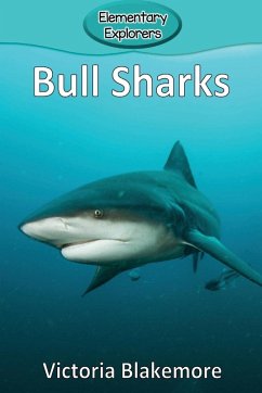 Cover Bull Sharks