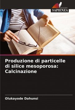Cover Produzione di particelle di silice mesoporosa: Calcinazione