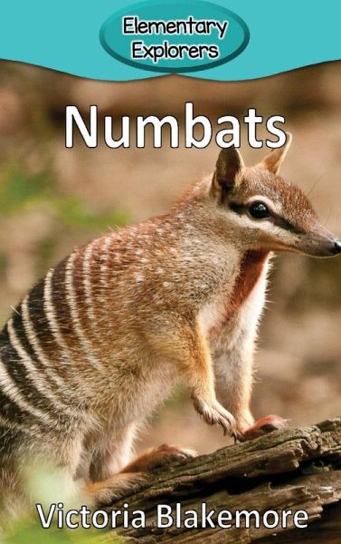 Numbats