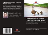 Lutte biologique contre l'aleurode Bemisia tabaci Lutte biologique contre l'aleurode Bemisia tabaci