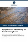 Pyroplastische Verformung bei Feinsteinzeugfliesen Pyroplastische Verformung bei Feinsteinzeugfliesen